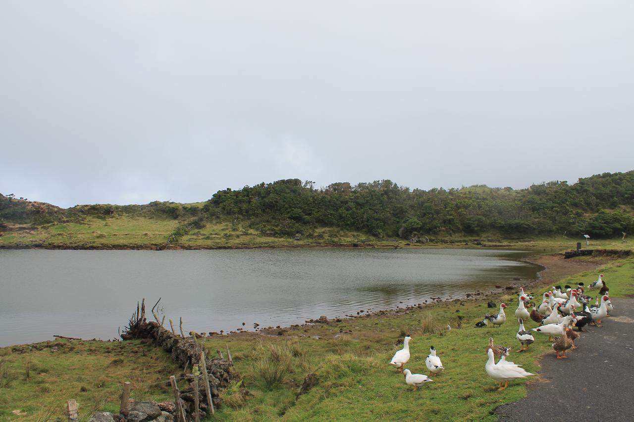 Отель Vila Barca Мадалена Экстерьер фото